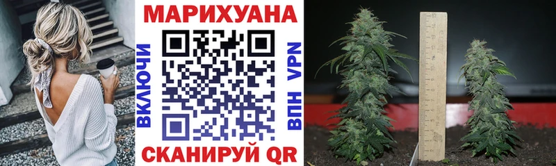 цена   блэк спрут онион  Каннабис индика  Урюпинск 